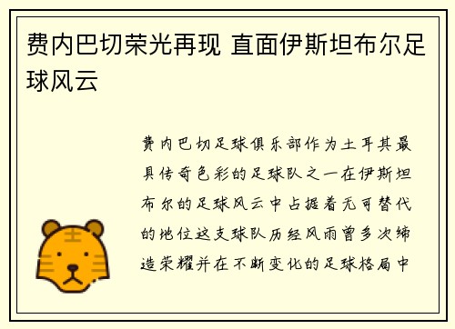 费内巴切荣光再现 直面伊斯坦布尔足球风云 费内巴切荣光再现 直面伊斯坦布尔足球风云